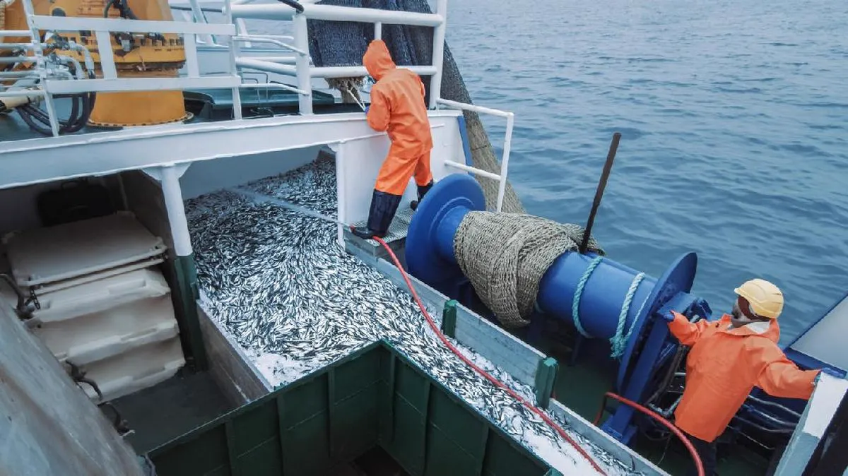 Dua awak berbaju hujan oranye bekerja di geladak kapal penangkap yang palkanya penuh ikan.