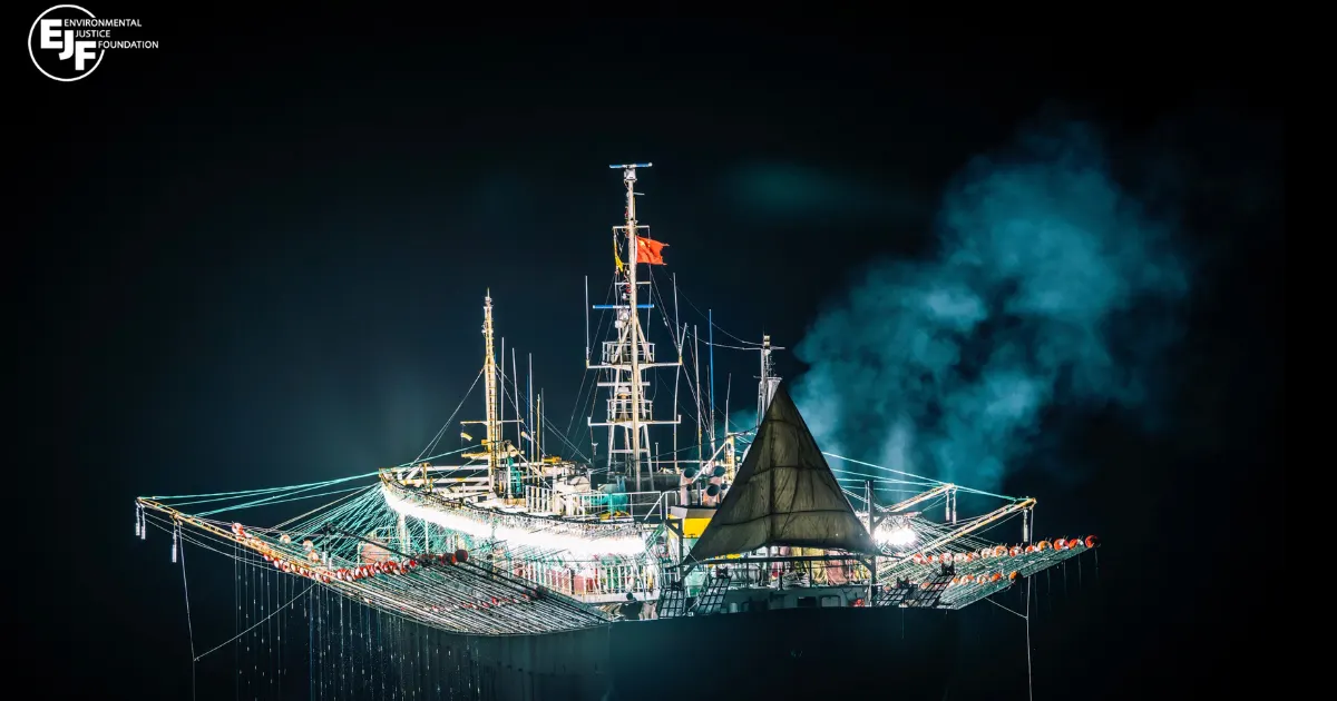 Kapal pancing cumi berbendera China dengan lampu menyala di laut lepas pada malam hari.